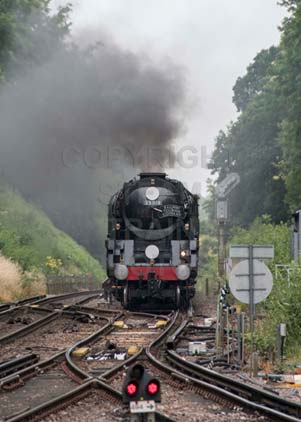 Purchase photo of 35018 BRITISH INDIA LINE at Virginia Water